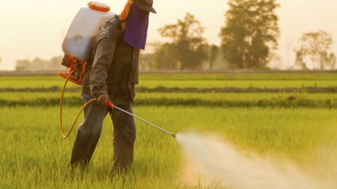 More Sources of Information About the Dangers of Glyphosate — Great Plains Laboratory
