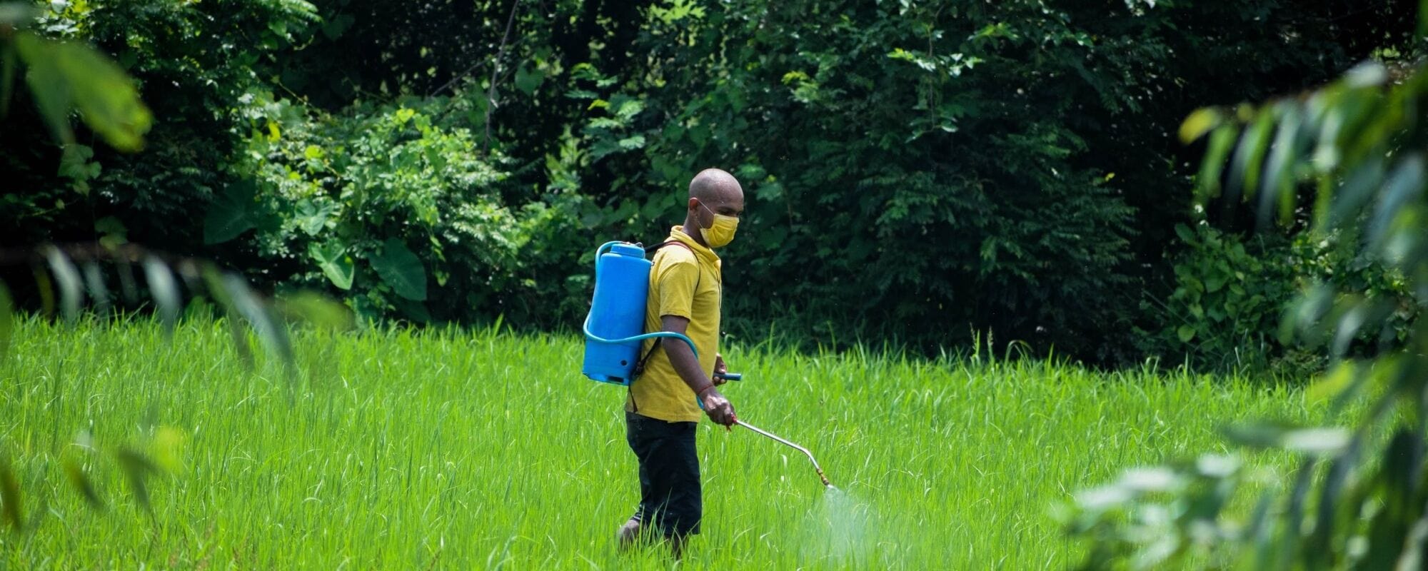 Glyphosate is in our Air, Water, Foods and the Patients in Your Lobby