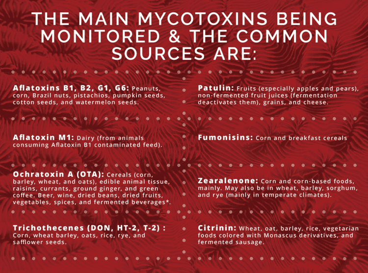 ** Beer, wine, dried beans, dried fruits, vegetables, spices, and fermented beverages have been found to be susceptible to OTA contamination, but the FDA does not mention these as potential sources.