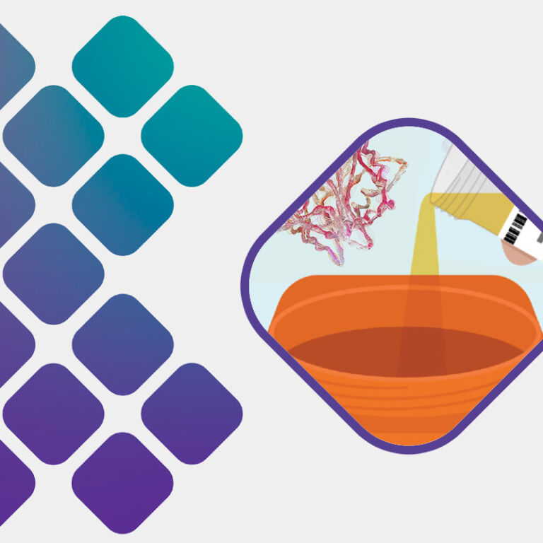 Amino Acids Test Urine 24Hour Sample Collection Instructions MosaicDX