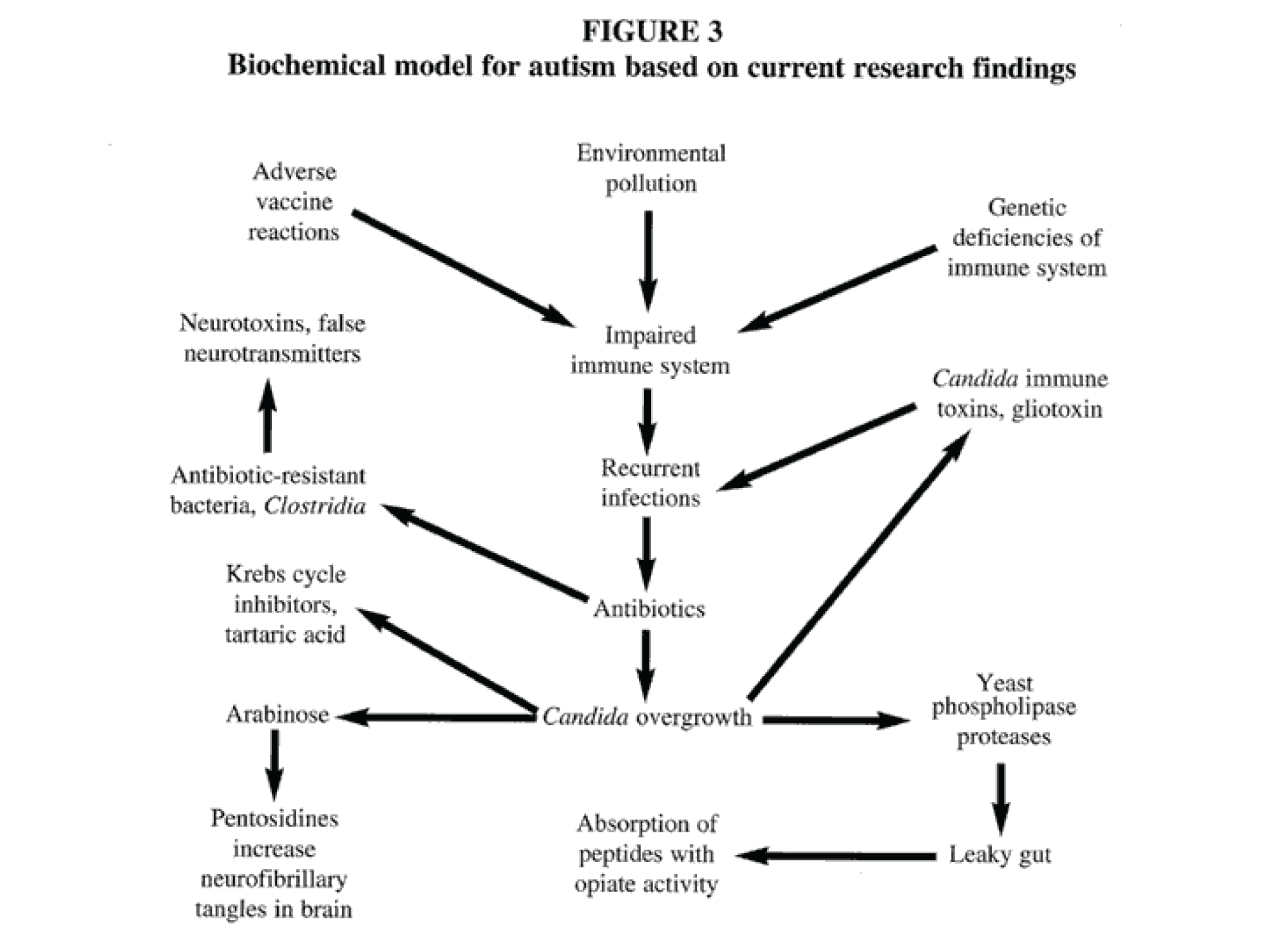 Assessment of Antifungal Drug Therapy in Autism by Measurement of