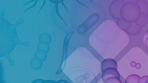 Comprehensive Stool Analysis with Parasitology