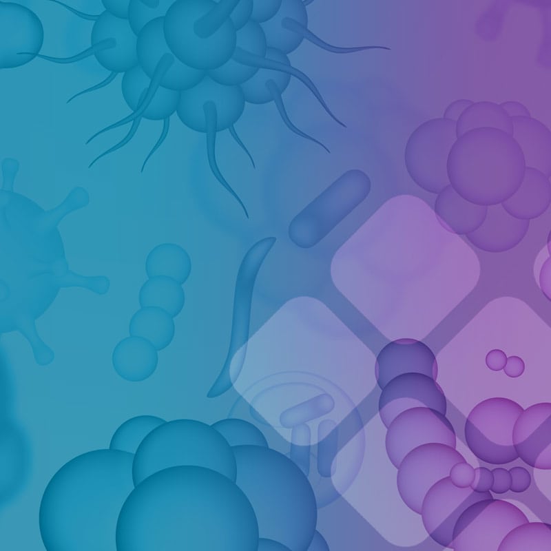 Comprehensive Stool Analysis with Parasitology