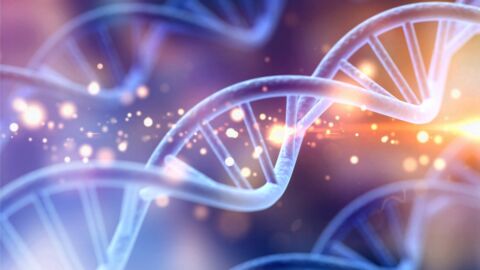 DNA Methylation Pathway Profile
