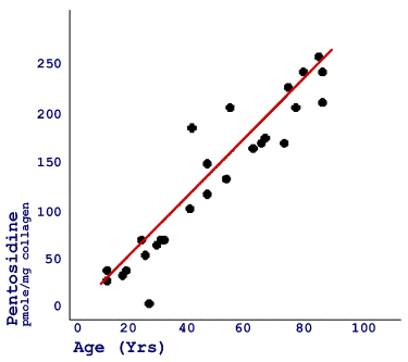 Figure 6 - Pentosidine Levels by Age