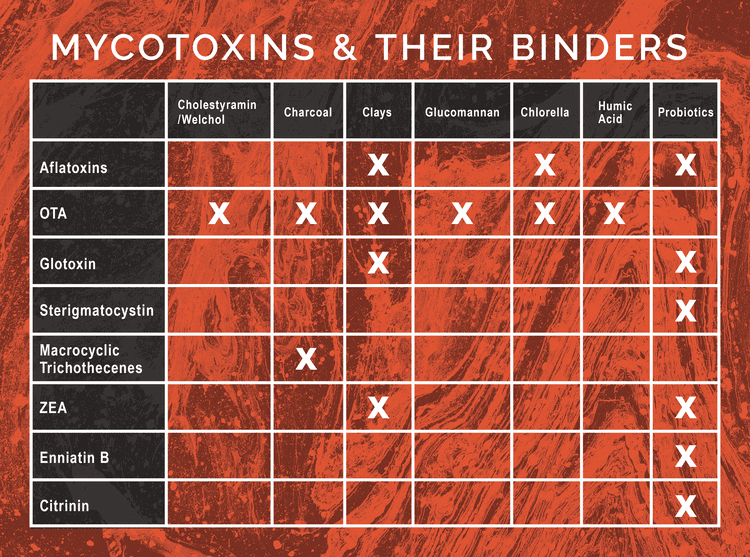 How to Select the Right Binder for Mycotoxins MosaicDX