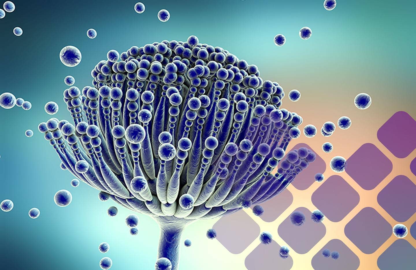 glutathione before mold test MycoTOX Profile®
