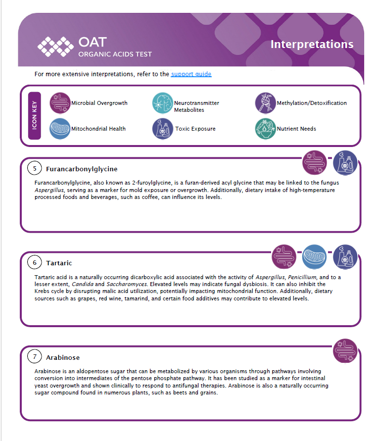 OAT Interpretations Layout