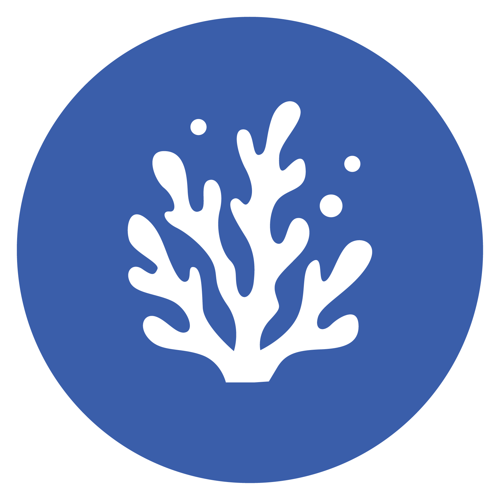 Chlorella icon