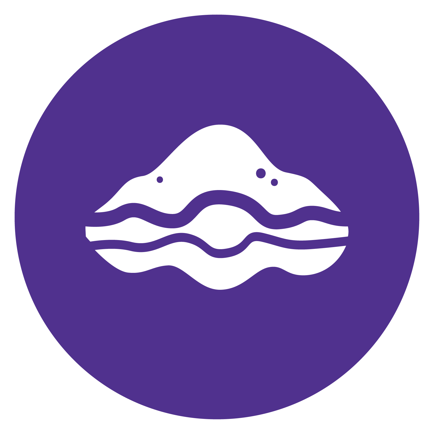 Humic and fulvic acids icon