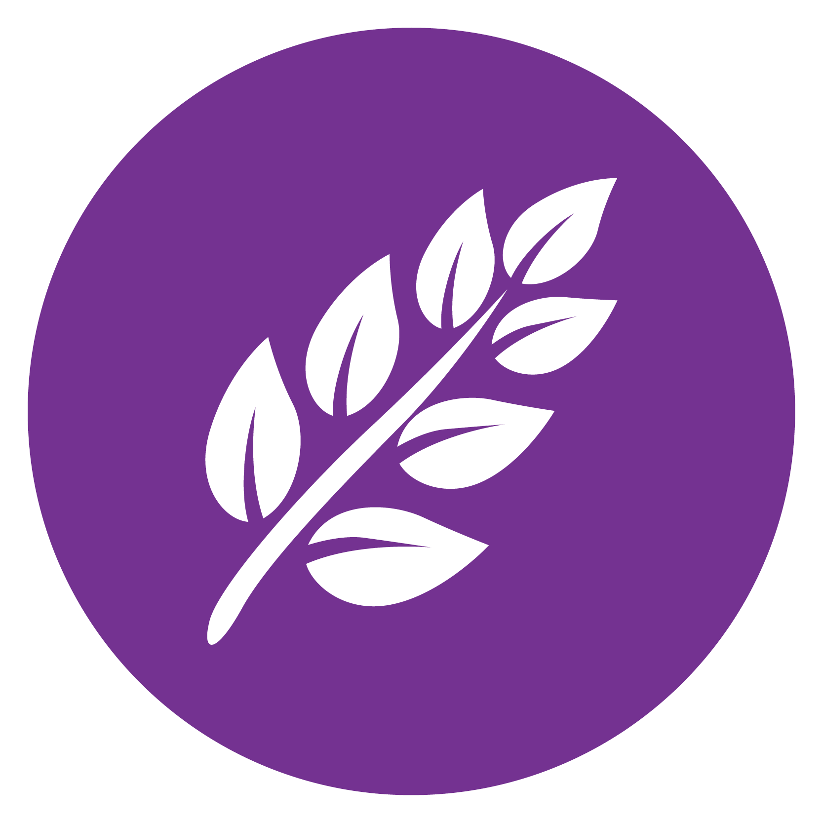 Modified citrus pectin icon